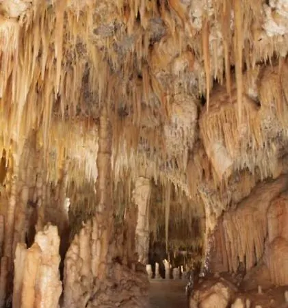 Domari All'arco * Turi